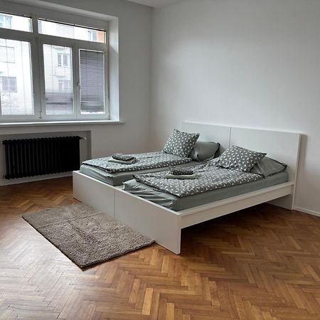Soukromy Pokoj V Tripokojovem Byte - Private Room In Three Room Flat Brno Dış mekan fotoğraf